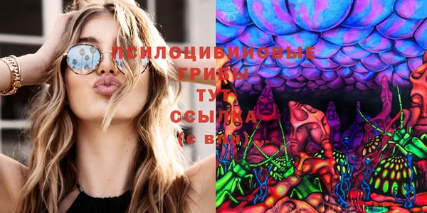 дживик Абинск