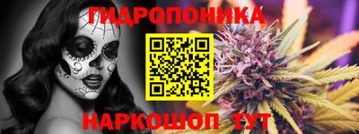 ешки Ставрополь